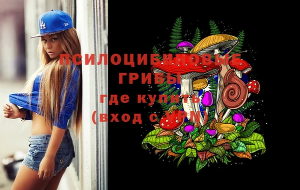 скорость Няндома