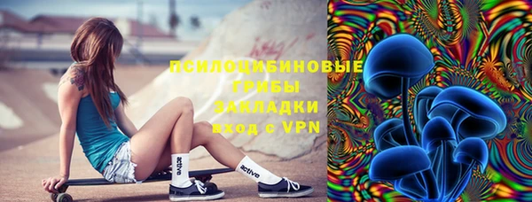 apvp Новодвинск