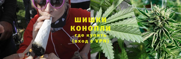 амф Новокубанск