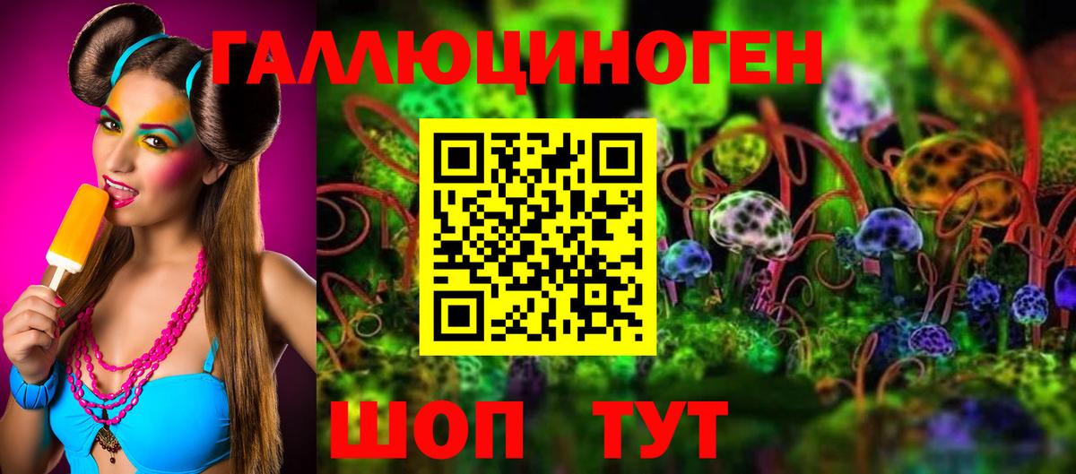 Касимов  Галлюциногенные грибы GOLDEN TEACHER  Вход с VPN 